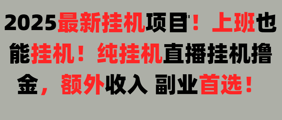 2025上班也能挂机!24小时!纯挂机直播挂机撸金!