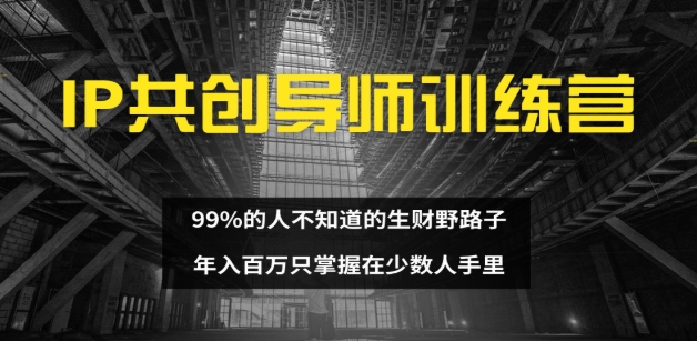 IP共创导师训练营 99%的人不知道的生财野路子 只掌握在少数人手里