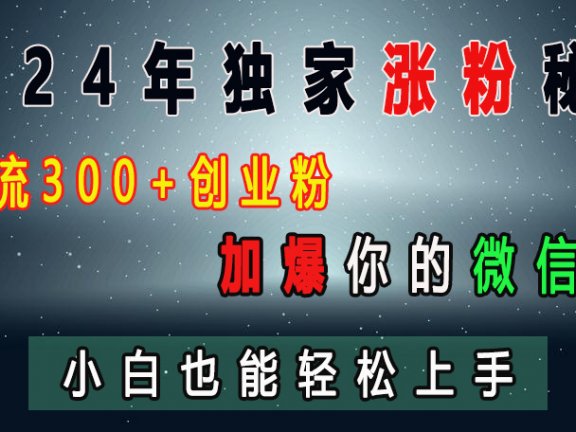 2024年独家涨粉秘籍,日引流300+创业粉,加爆你的微信好友,小白也能轻松上手